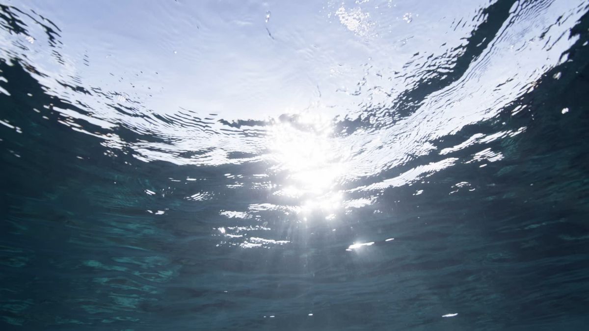 Hermès - エルメスの公式オンラインストア | Hermès - エルメス-公式サイト